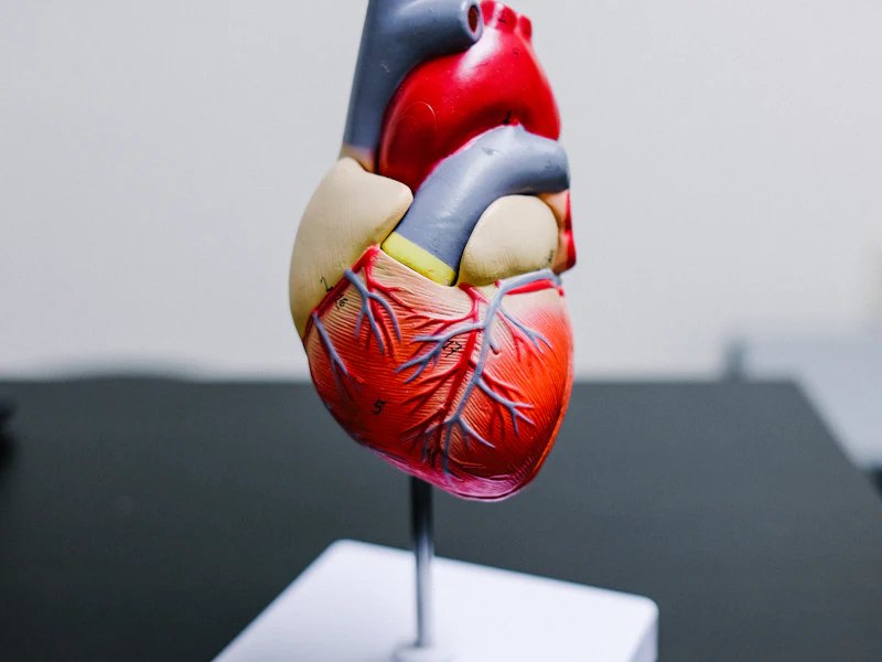 Cardio Health at Nutri Smart Health